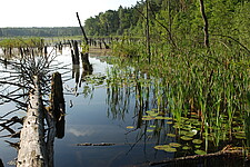 Mühlensee bei Speck