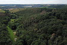 Waldgebiet nördl. Lichte Au mit Blick nach Westen