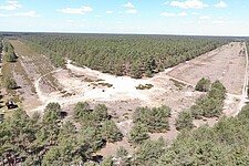 Drohnenaufnahme der sog. Wirler Spitze mit Kiefernwald und Heide