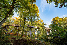 Baumwipfelpfad
