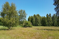 Halboffene Niederung