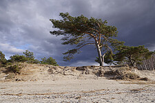 Weststrand