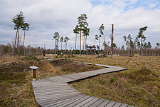 Moorlehrpfad