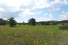 Halboffene Landschaft