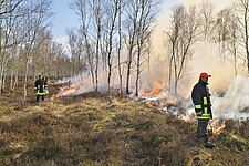 Offenlandpflege durch Heidebrennen