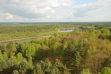 Blick vom Käflingsberg-Turm bei Speck