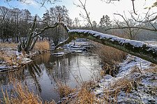 Winter an der Stepenitz