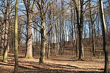 Winteraspekt