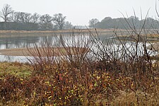 Elbufer