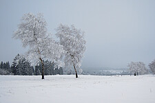 Winterlandschaft