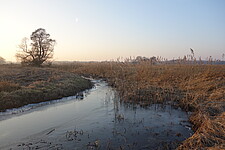 Delvenau im Winteraspekt